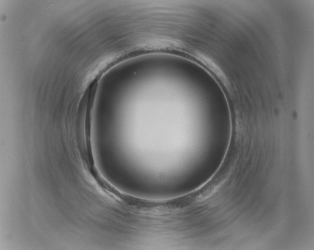 X0000060760485200511241732