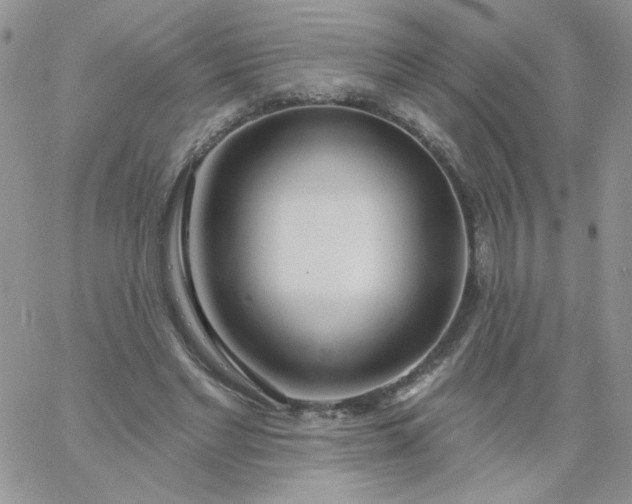 X0000060760493200511241732