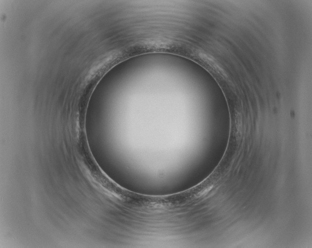 X0000060760494200511241732