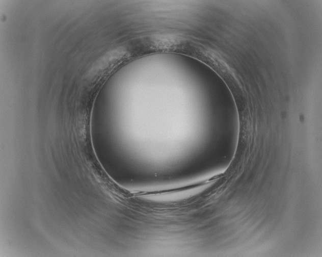 X0000060760505200511241732