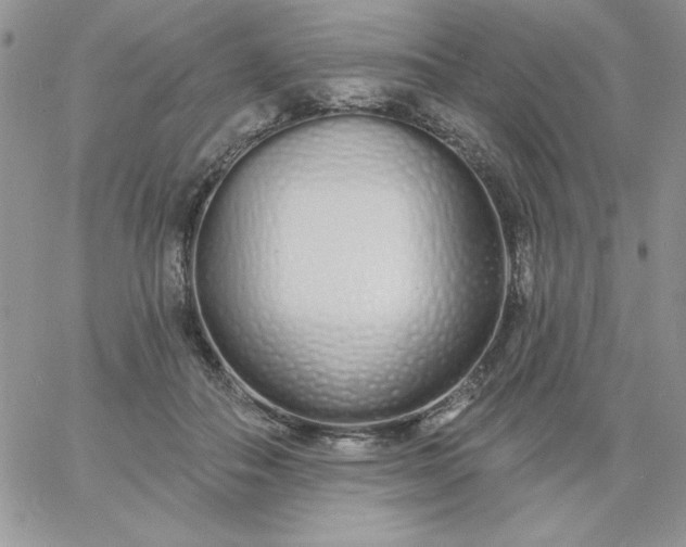 X0000060760506200511241732