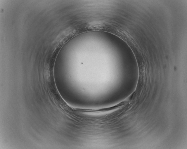 X0000060760508200511241732