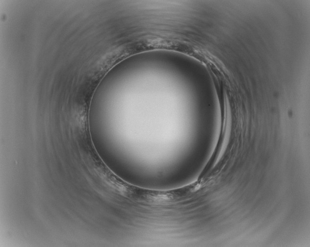 X0000060760513200511241732