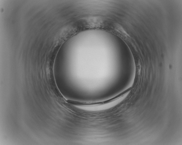 X0000060760516200511241732