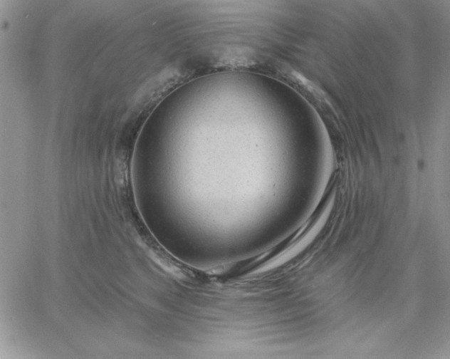 X0000060760517200511241732