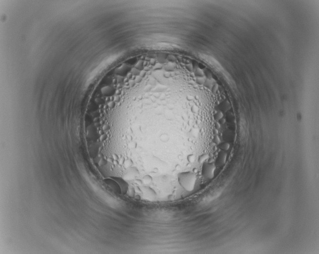 X0000060760533200511241731