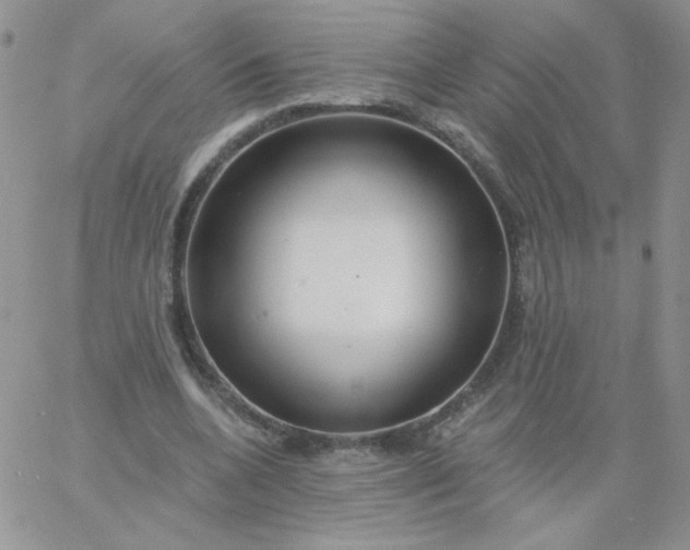 X0000060760536200511241731