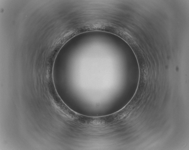 X0000060760546200511241731