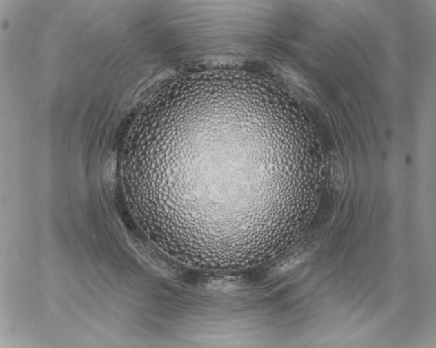 X0000060760550200511241731