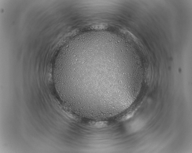 X0000060760553200511241731