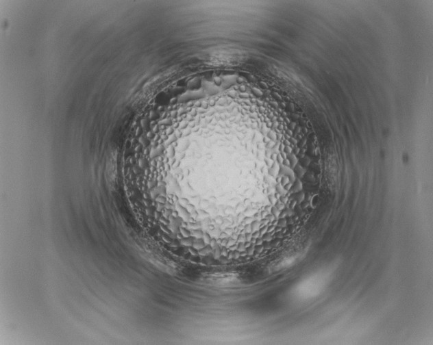 X0000060760554200511241731