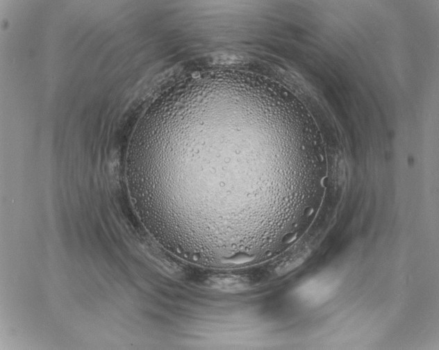 X0000060760557200511241731