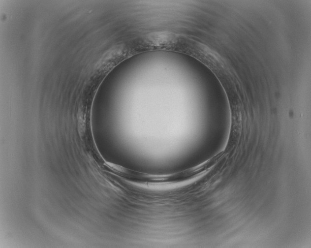 X0000060760558200511241731