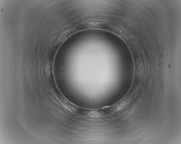 X0000060760562200511241731