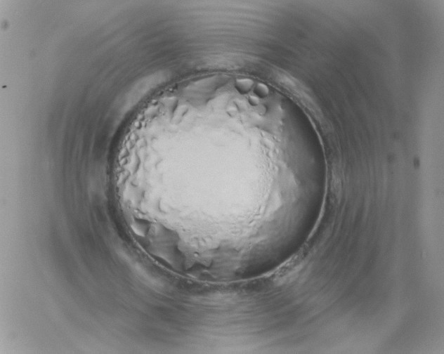X0000060760578200511241731