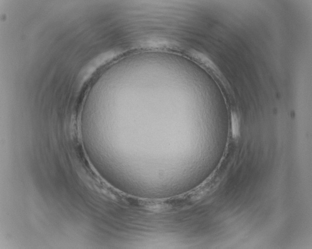 X0000060760579200511241731