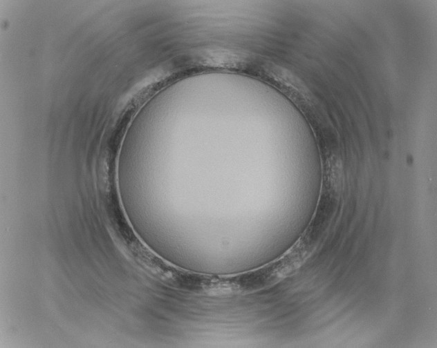 X0000060760587200511241731