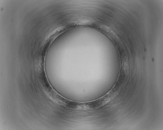 X0000060760591200511241730