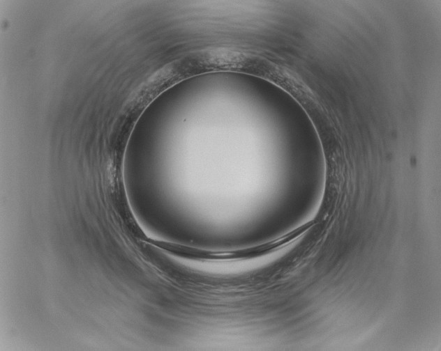 X0000060760597200511241730
