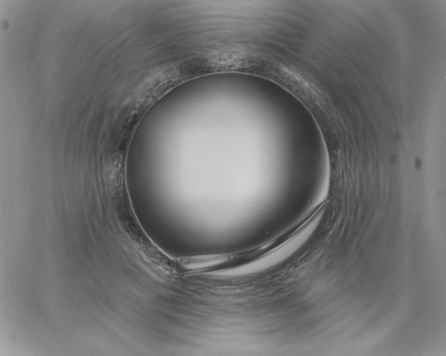 X0000060760601200511241730
