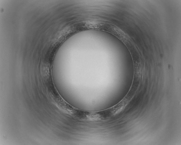 X0000060760603200511241730