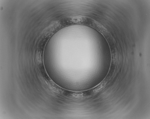X0000060760606200511241730