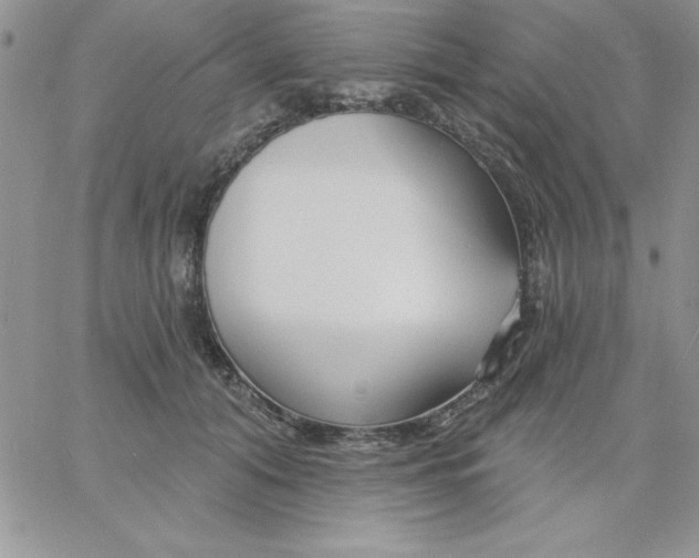 X0000060760608200511241730