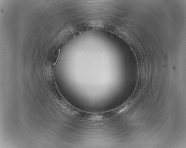X0000060760609200511241730