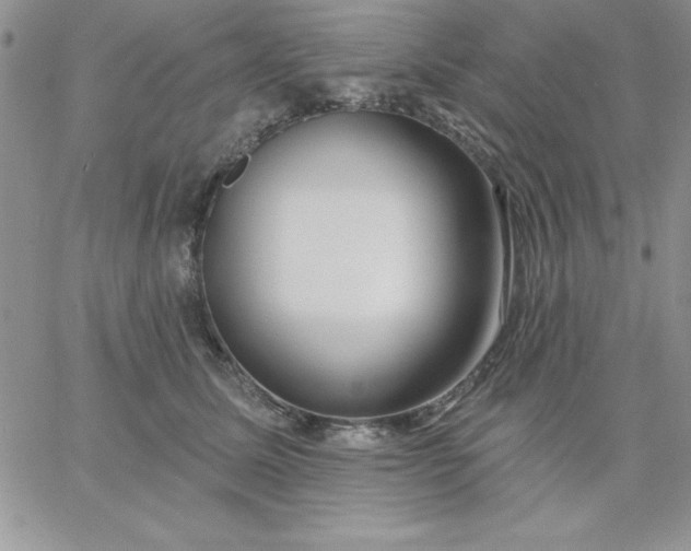 X0000060760611200511241730
