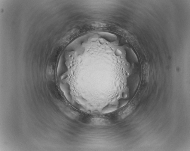 X0000060760614200511241730