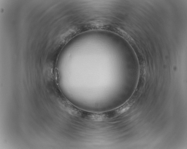 X0000060760615200511241730