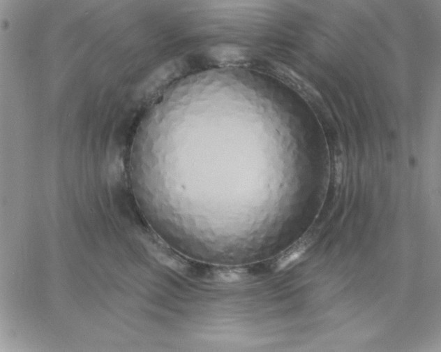 X0000060760618200511241730