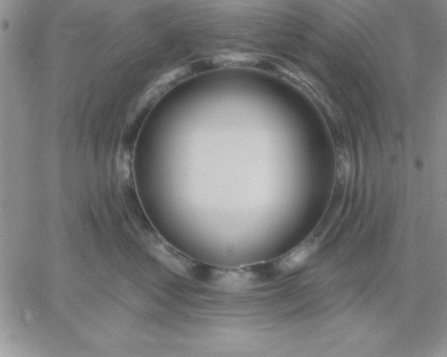 X0000060760621200511241730