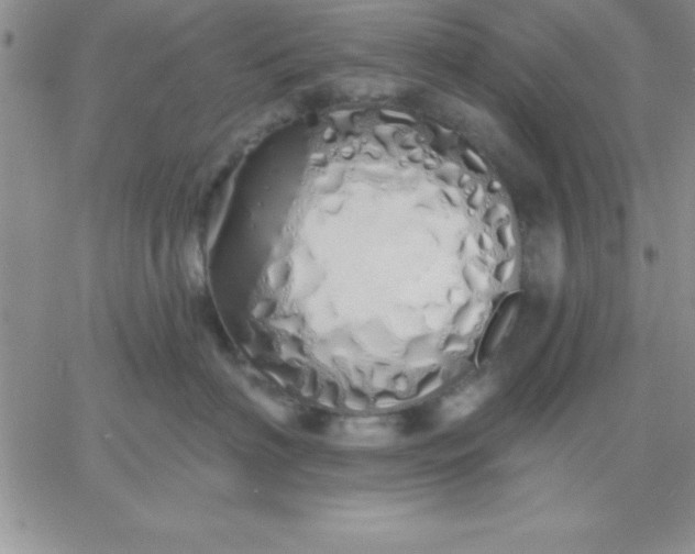 X0000060760622200511241730