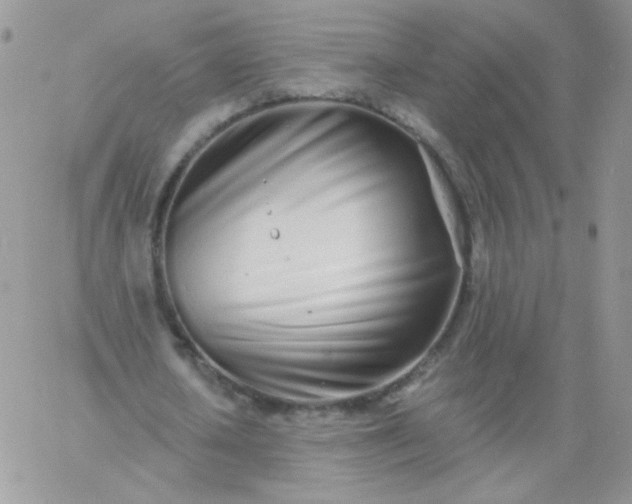 X0000060760626200511241729