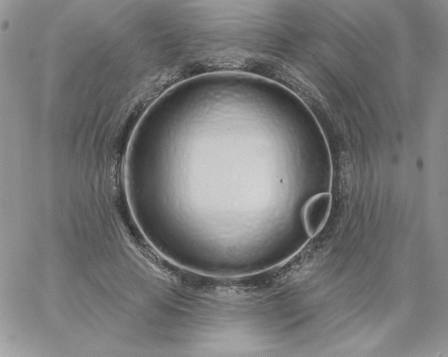 X0000060760641200511241729