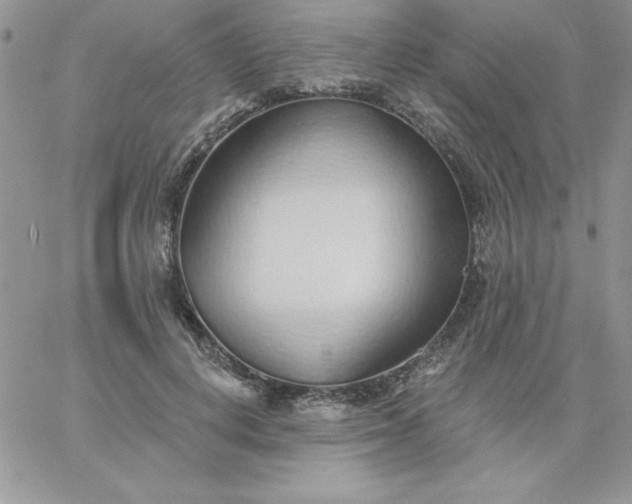 X0000060760648200511241730