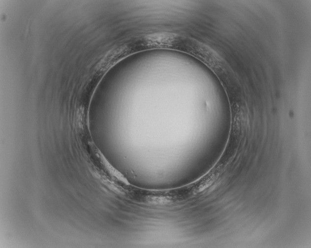 X0000060760649200511241730