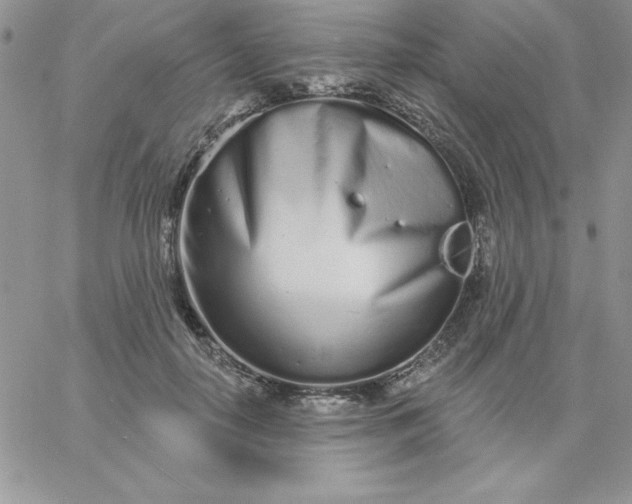 X0000060760650200511241730