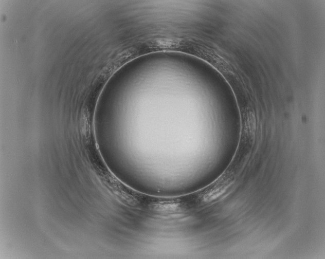 X0000060760651200511241730