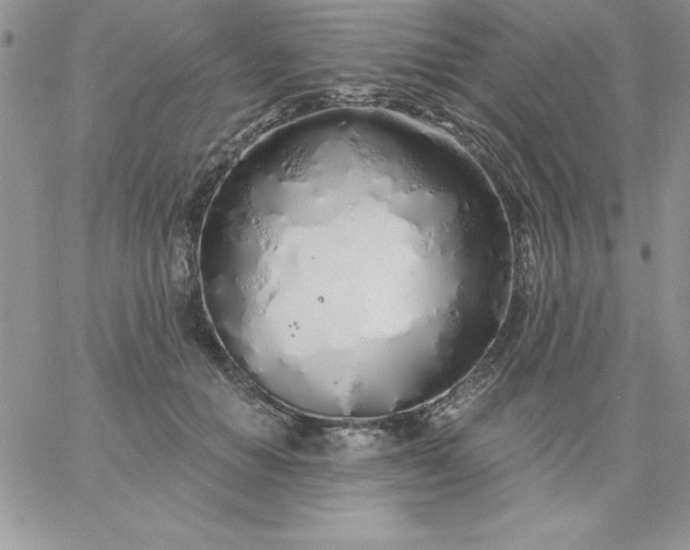 X0000060760654200511241730