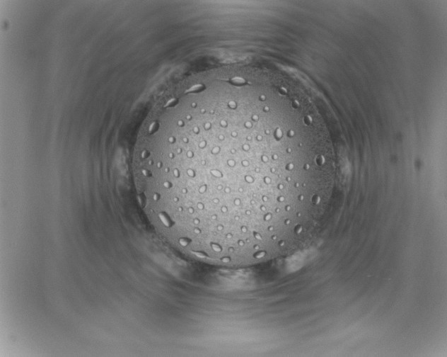 X0000060760667200511241730