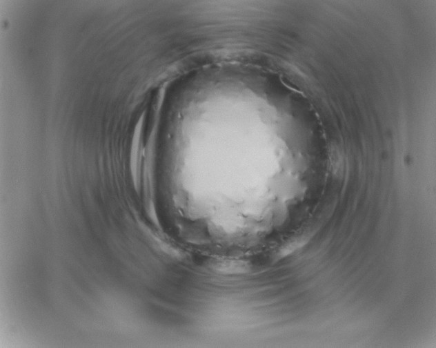 X0000060760670200511241730