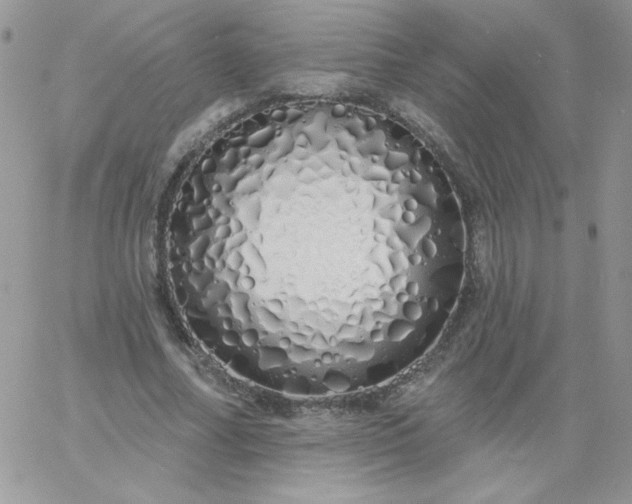 X0000060760682200511241729