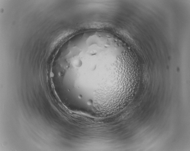 X0000060760683200511241729