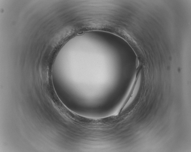 X0000060760685200511241729
