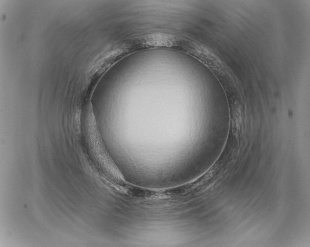 X0000060760696200511241729