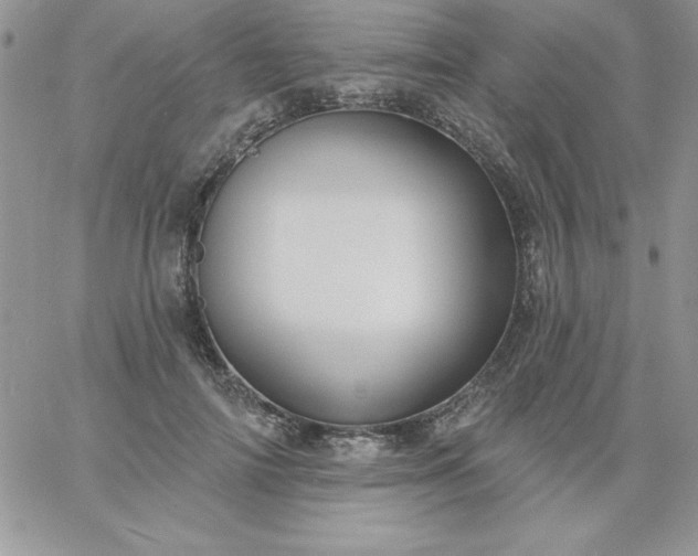 X0000060760698200511241729