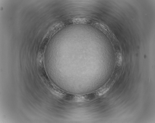 X0000060760701200511241729