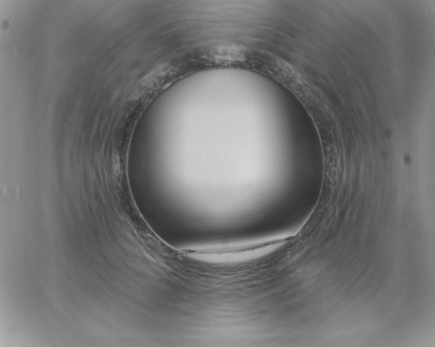 X0000060760704200511241729